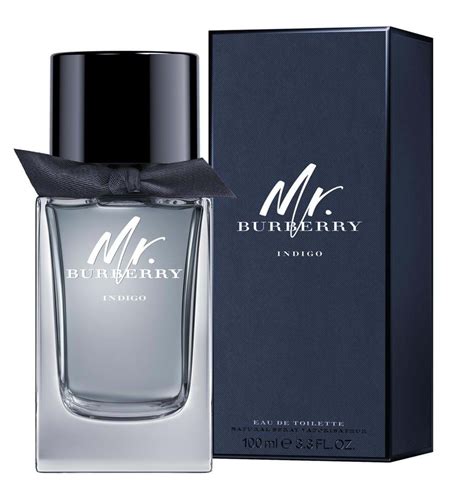 burberry perfume men's indigo|mr Burberry indigo perfume.